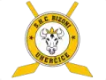 S.H.C. Bizoni Uherčice